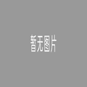 每月中国新能源汽车市场分析报告